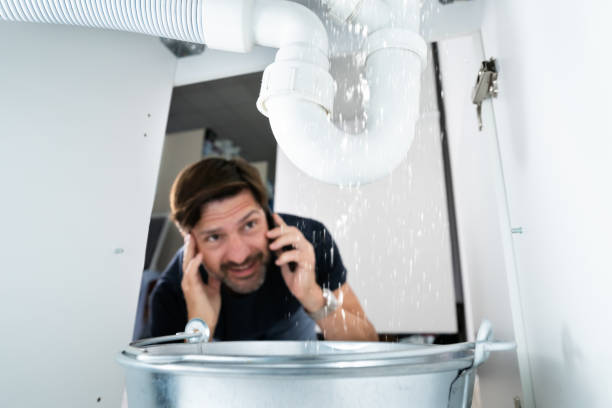 Best Plumbing Repair Near Me  in Pajaro, CA